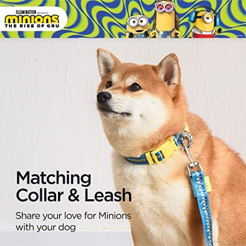 צווארון כלבים של Minions, בינוני, מיניונים כחולים וצהובים ברציפות | מתנות לאוהדי מיניונים ולחיות
